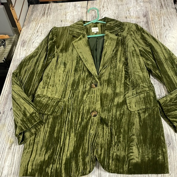 Ellison Crinkle Velvet Jacket in Green - Boutique Brand Small - Picture 1 of 5